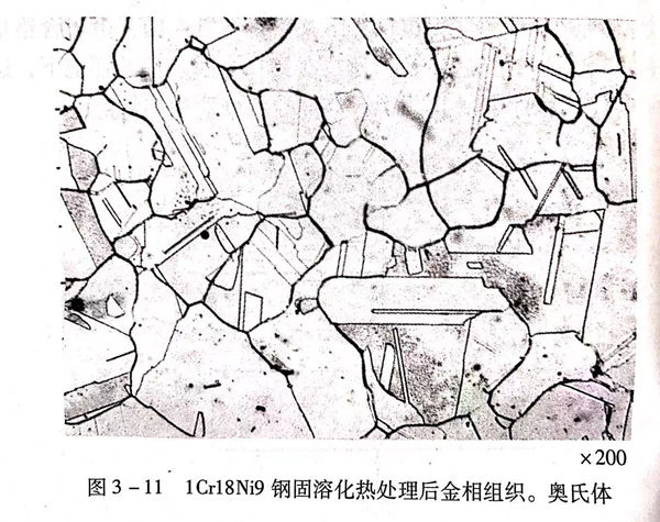 圖 11.jpg 圖 11.jpg
