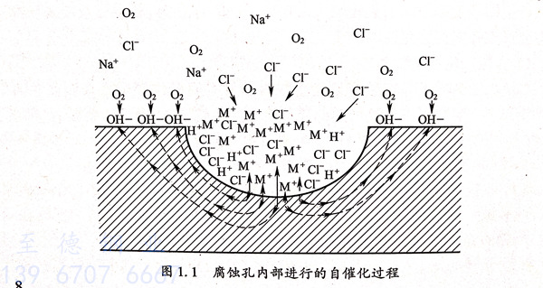 圖1.jpg 圖1.jpg