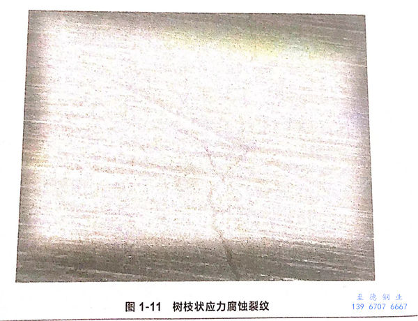 11.jpg 11.jpg