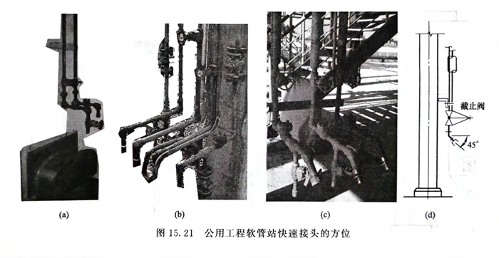 21.jpg 21.jpg